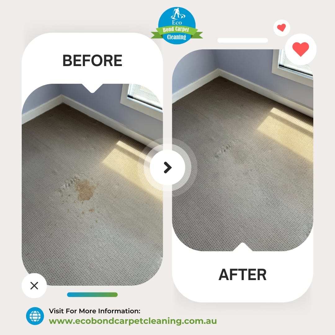 ecobond carpet cleaning review