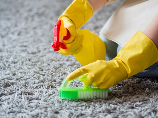 carpet cleaning Mount Waverley